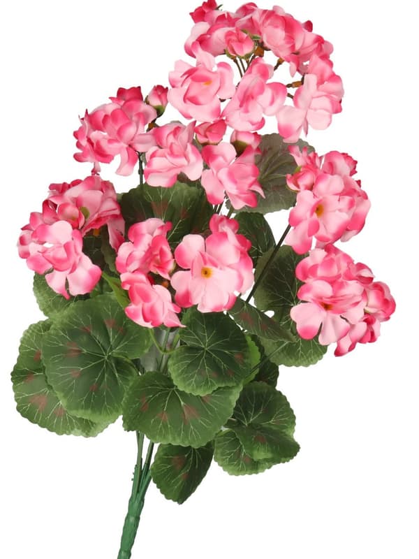 TEKOKUKAT KASVIT PELARGONIAT KIMPPU 45CM TIHEÄ KUIN ELÄMÄ