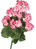Pikkukuva 3 / 6: TEKOKUKAT KASVIT PELARGONIAT KIMPPU 45CM TIHEÄ KUIN ELÄMÄ