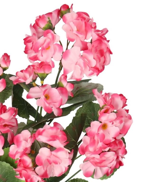 TEKOKUKAT KASVIT PELARGONIAT KIMPPU 45CM TIHEÄ KUIN ELÄMÄ