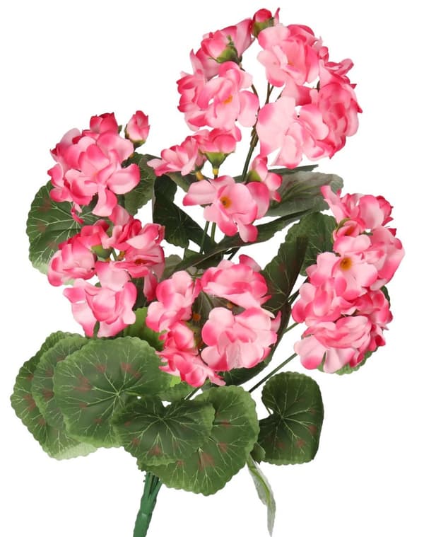 TEKOKUKAT KASVIT PELARGONIAT KIMPPU 45CM TIHEÄ KUIN ELÄMÄ