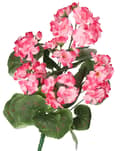 Pikkukuva 1 / 6: TEKOKUKAT KASVIT PELARGONIAT KIMPPU 45CM TIHEÄ KUIN ELÄMÄ