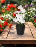 Miniatyrbillede 3 af 5: ORKIDÉ KUNSTIGE ORKIDÉBLOMSTER I KERAMISK POTTE