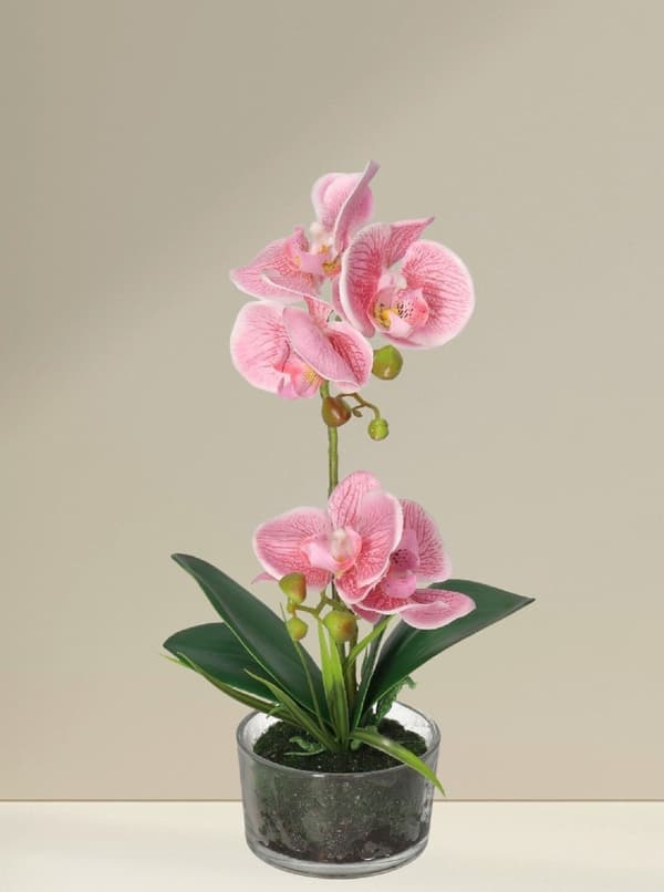 KONSTGJORDA ORKIDEBLOMMOR I PREMIUMKRUKA