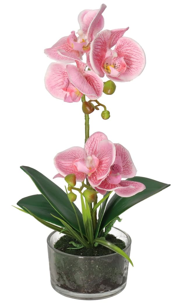 KONSTGJORDA ORKIDEBLOMMOR I PREMIUMKRUKA