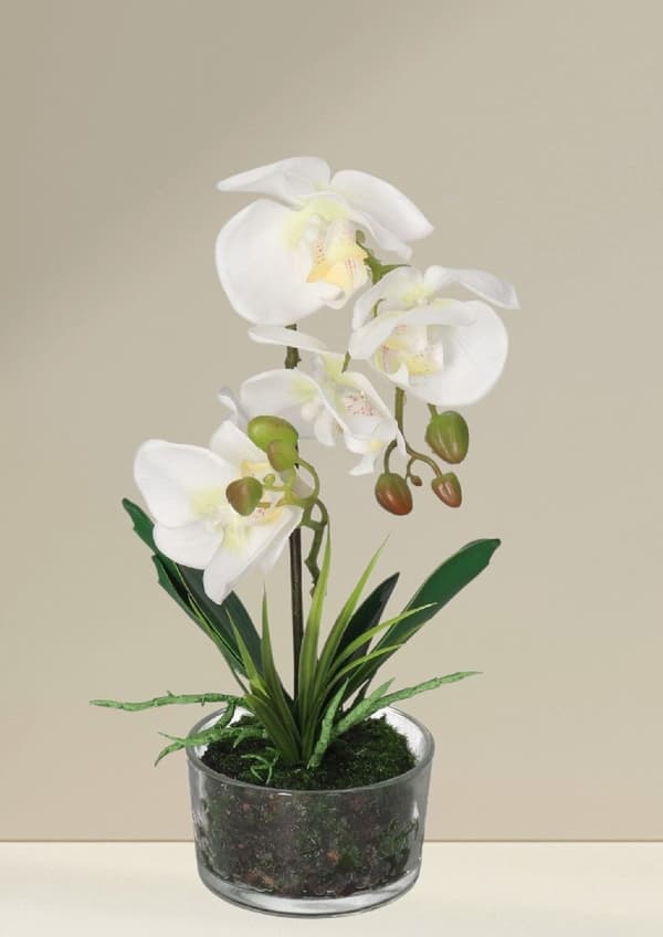 ORKIDÉ KUNSTIGE BLOMSTER I EN PREMIUM POTTE