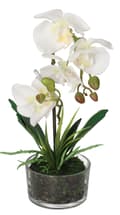 Miniatyrbillede 1 af 6: ORKIDÉ KUNSTIGE BLOMSTER I EN PREMIUM POTTE