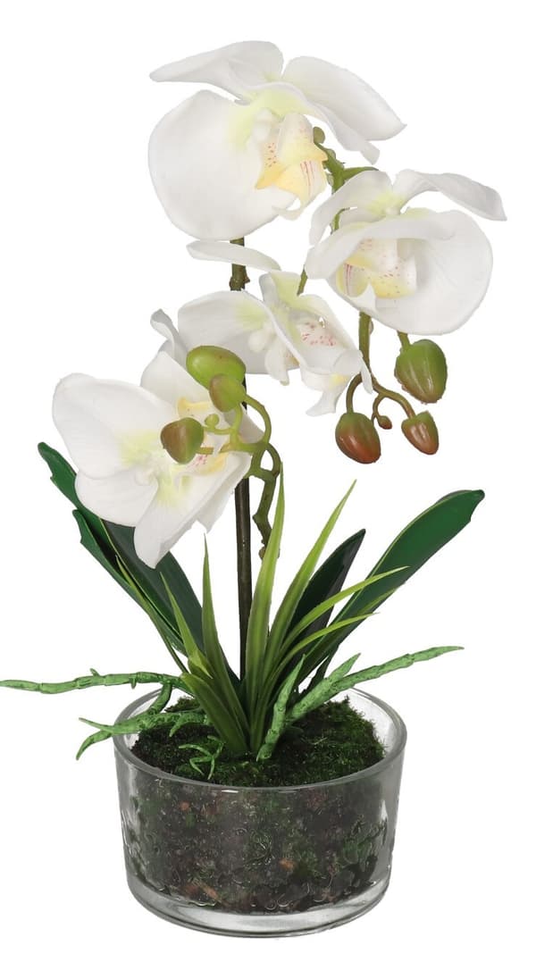 ORKIDÉ KUNSTIGE BLOMSTER I EN PREMIUM POTTE