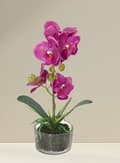 Miniatyrbillede 6 af 6: ORKIDÉ KUNSTIGE BLOMSTER I EN PREMIUM POTTE