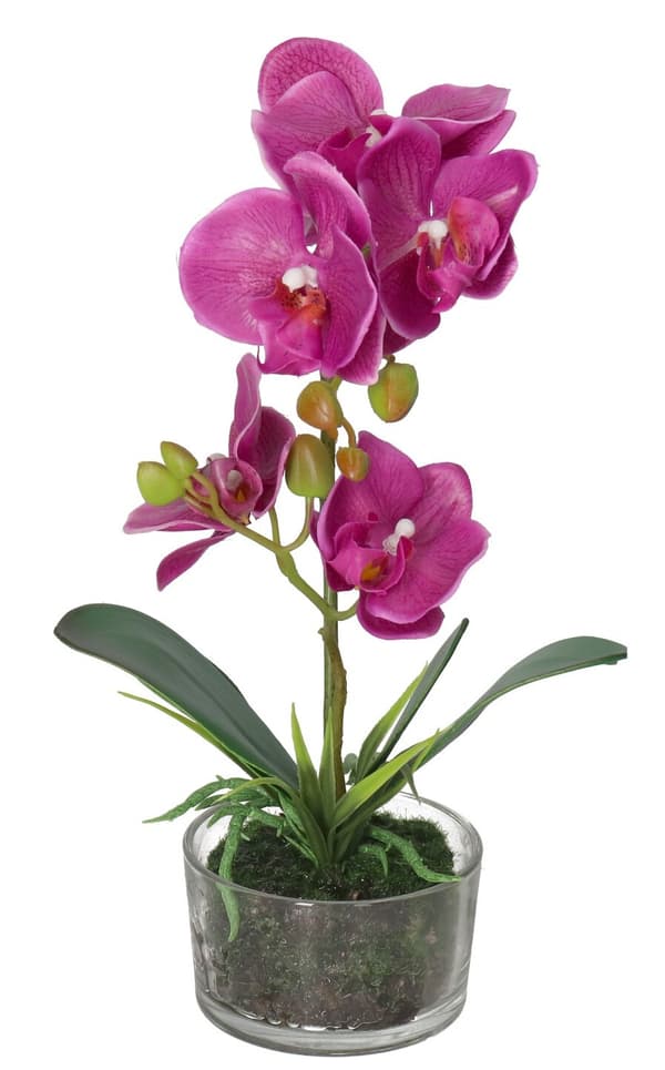 ORKIDÉ KUNSTIGE BLOMSTER I EN PREMIUM POTTE