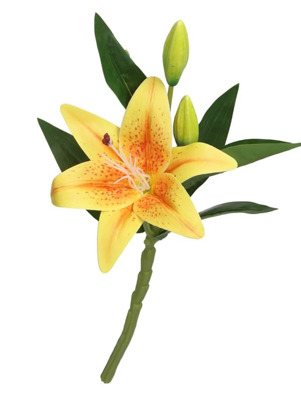 KUNSTIGE BLOMSTER LILJEGRENE SOM EN LIVSLILJEBLOMST
