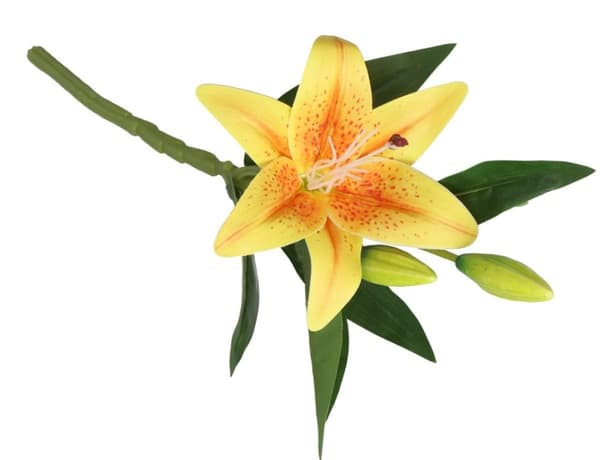 KUNSTIGE BLOMSTER LILJEGRENE SOM EN LIVSLILJEBLOMST