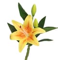 Miniatyrbillede 1 af 3: KUNSTIGE BLOMSTER LILJEGRENE SOM EN LIVSLILJEBLOMST