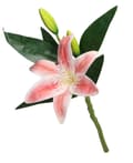 Miniatyrbillede 3 af 4: KUNSTIGE BLOMSTER LILJEGRENE SOM EN LIVSLILJEBLOMST