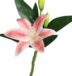 KUNSTIGE BLOMSTER LILJEGRENE SOM EN LIVSLILJEBLOMST