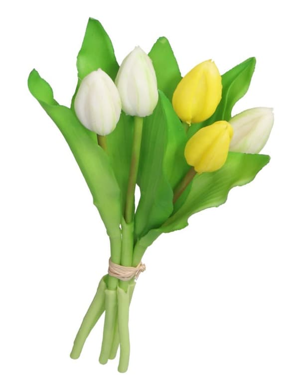 TULIPANER BUKET AF TULIPANER GUMMI GUMMIBELAGET SOM LIVET
