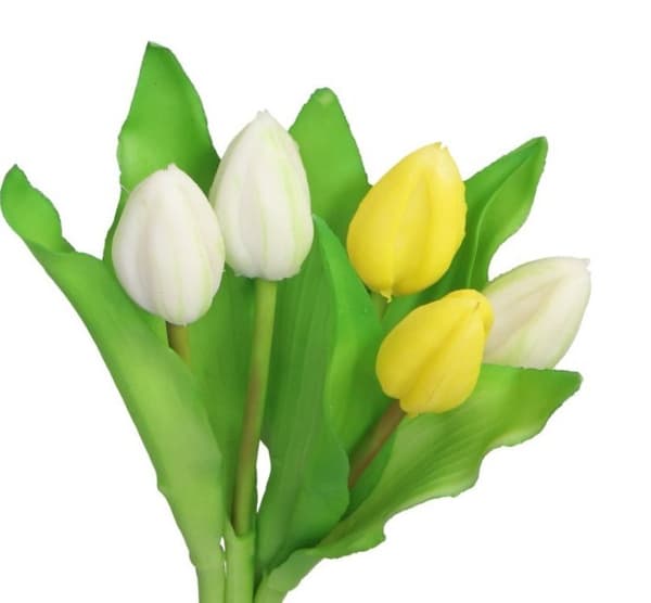 TULIPANER BUKET AF TULIPANER GUMMI GUMMIBELAGET SOM LIVET