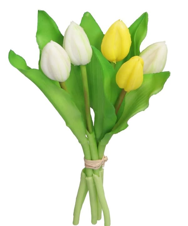 TULIPANER BUKET AF TULIPANER GUMMI GUMMIBELAGET SOM LIVET