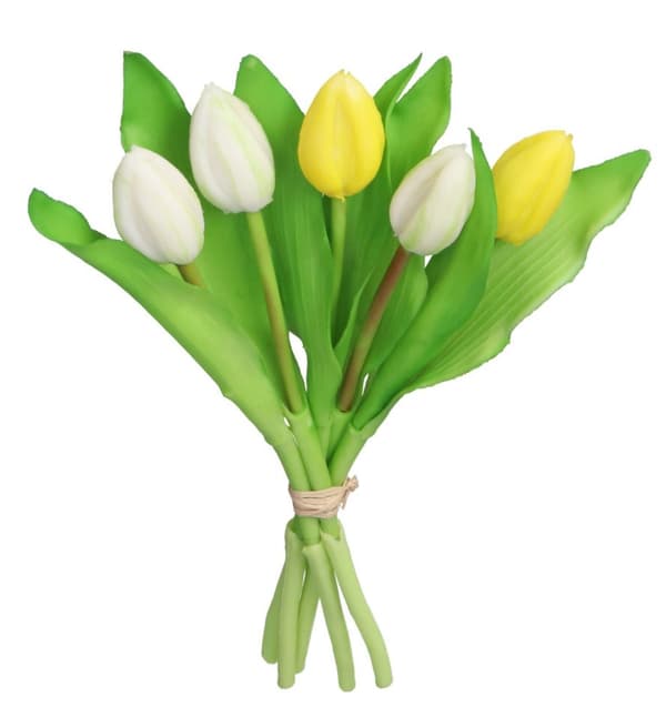 TULIPANER BUKET AF TULIPANER GUMMI GUMMIBELAGET SOM LIVET