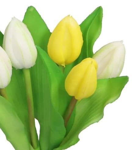 TULIPANER BUKET AF TULIPANER GUMMI GUMMIBELAGET SOM LIVET