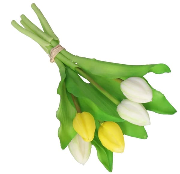 TULIPANER BUKET AF TULIPANER GUMMI GUMMIBELAGET SOM LIVET