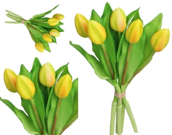 TULPPAANIKIMPU TULPPAANEJA KUMI KUMI KUIN ELÄMÄ
