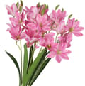 Miniatyrbillede 4 af 6: KUNSTIGE BLOMSTERBUKET SYREN STOR TYKKE LILJE LILJE