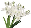 Miniatyrbillede 1 af 6: KUNSTIGE BLOMSTERBUKET SYREN STOR TYKKE LILJE LILJE