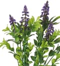 Miniatyrbillede 6 af 6: KUNSTIGE BLOMSTER PLANTER BUKET DRUER DRUER DRUER DRUER