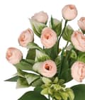 Miniatyrbillede 4 af 5: KUNSTIGE BLOMSTER GRENE PLANTER PÆON LIVLIGNENDE PÆON