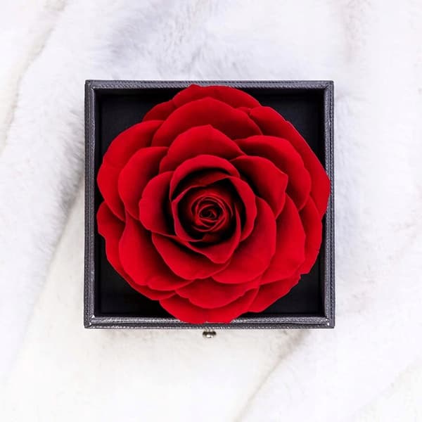 Evig rose i glas hologram halskæde til kvinder Valentinsdagsgave