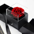 Miniatyrbillede 3 af 11: Evig rose i glas + halskæde Jeg elsker dig 100 sprog gave til kvinde