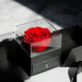 Miniatyrbillede 2 af 11: Evig rose i glas + halskæde Jeg elsker dig 100 sprog gave til kvinde