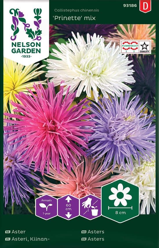 Strålaster 'Prinette' Mix frö