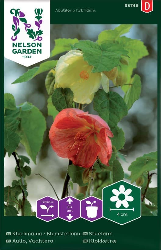 Klockmalva / Blomsterlönn, Mix