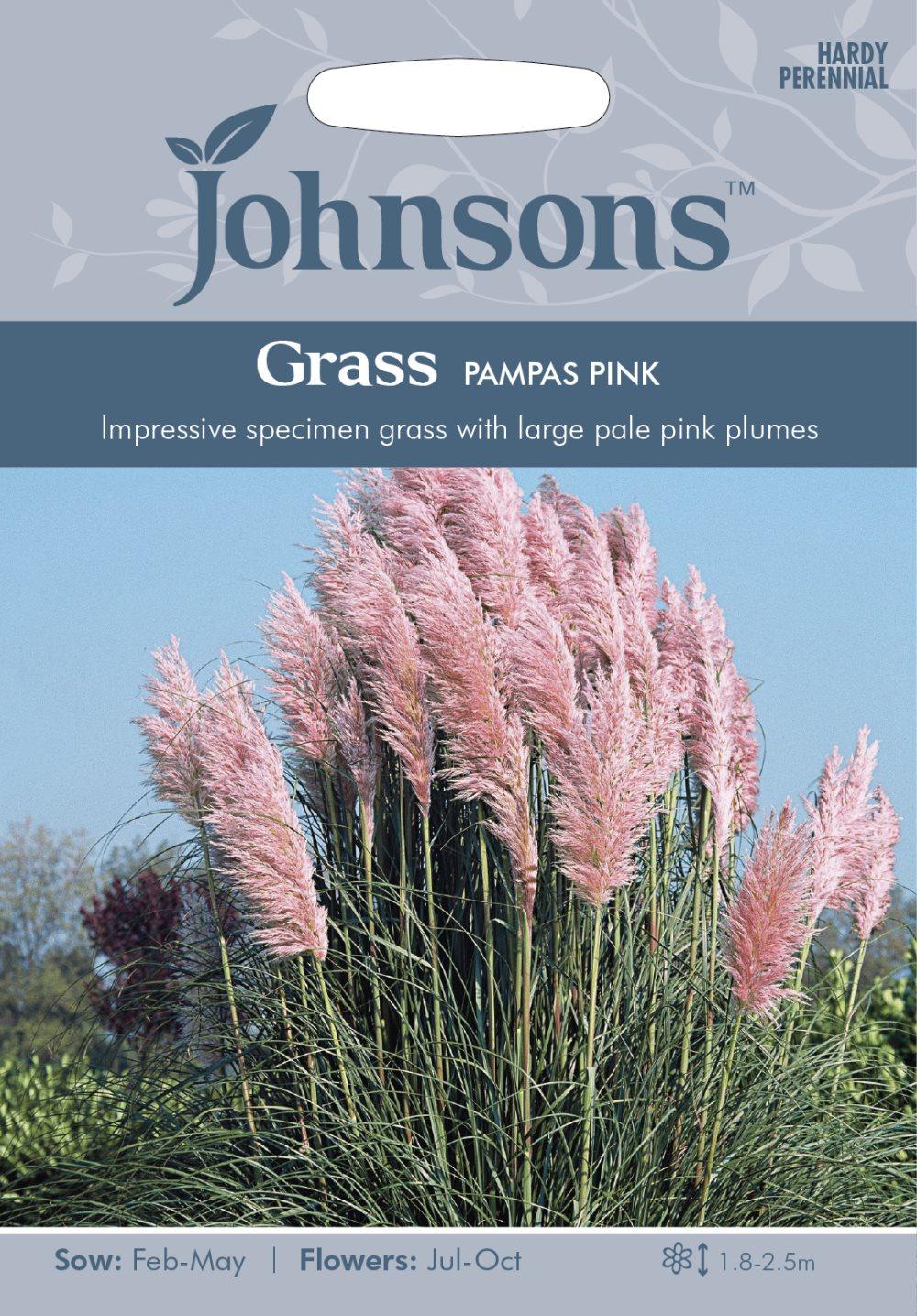 Pampasgräs 'Pampas Pink'