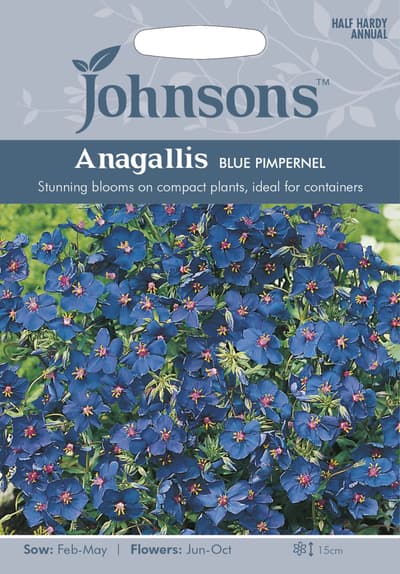 Praktmire 'Blue Pimpernel', frö