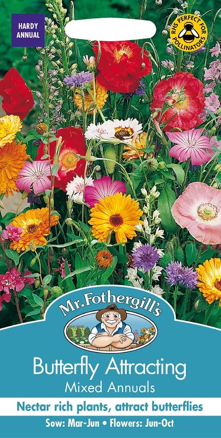 Fjärilsmagneter - Blandade ettåriga blommor