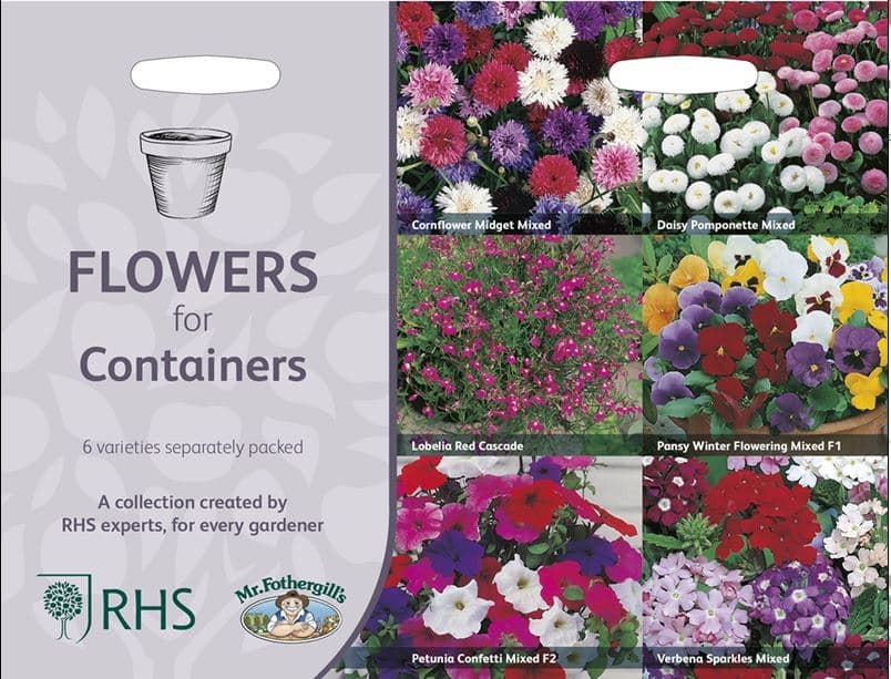 Blommor för fjärilar och bin, 6 sorter