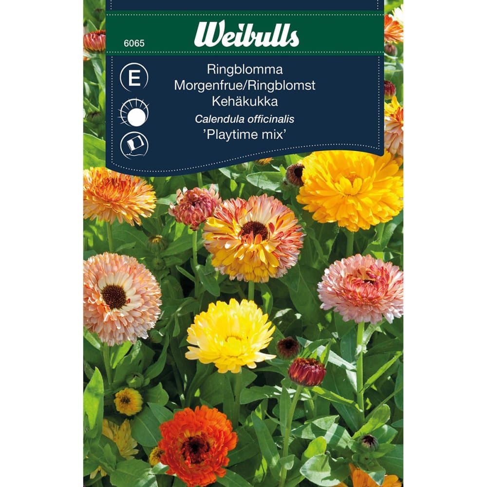 Weibulls Ringblomma Playtime mix