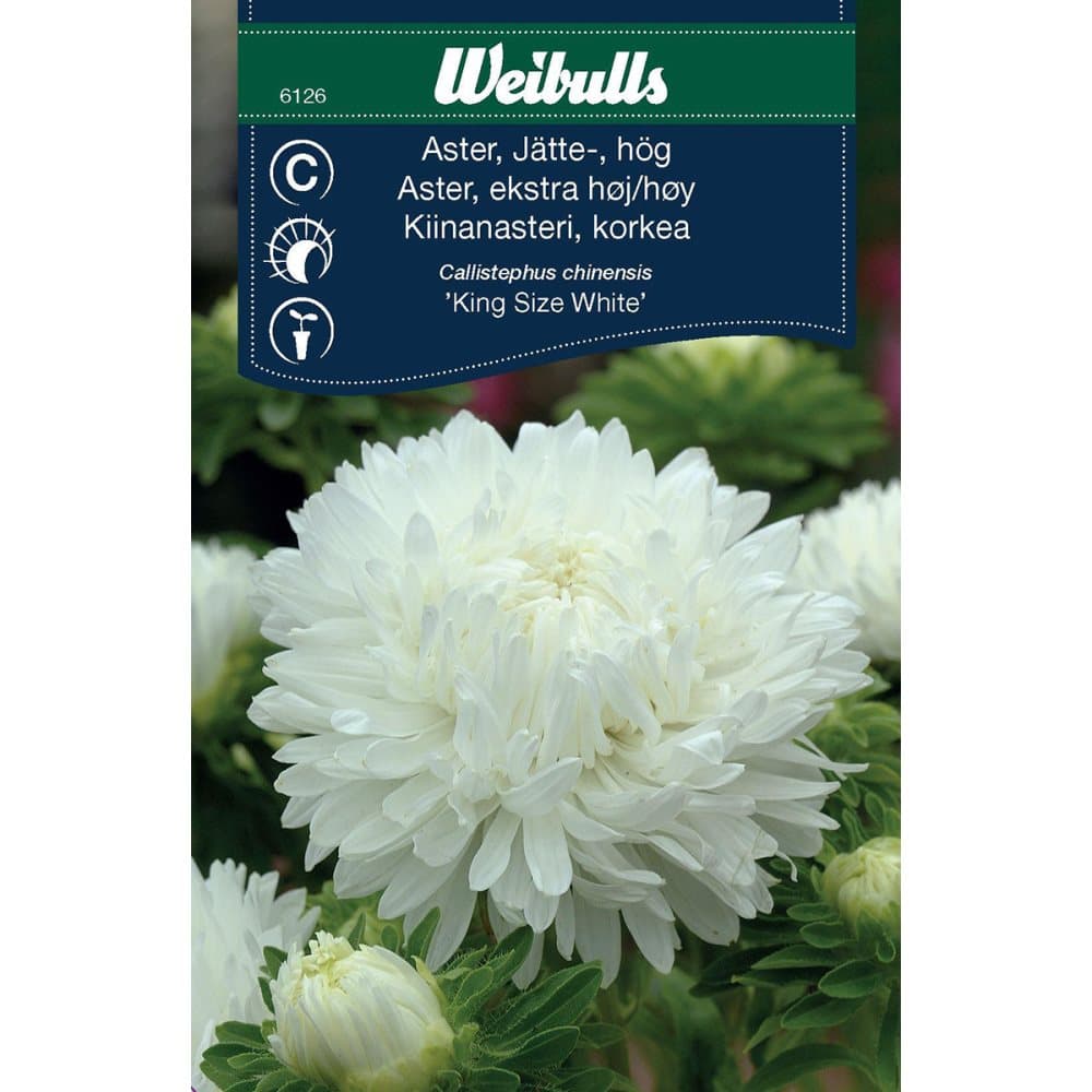 Weibulls Aster storblom vit King size white