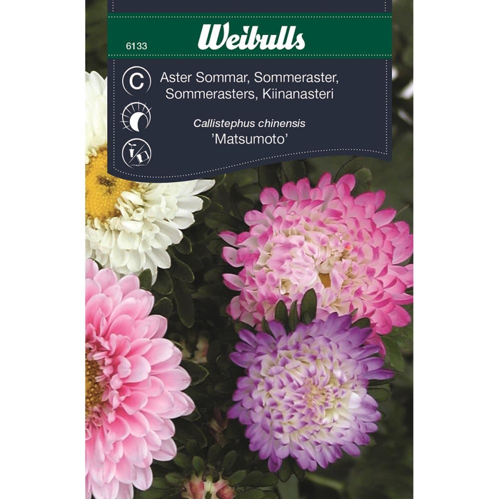 Weibulls Aster pastell sommar