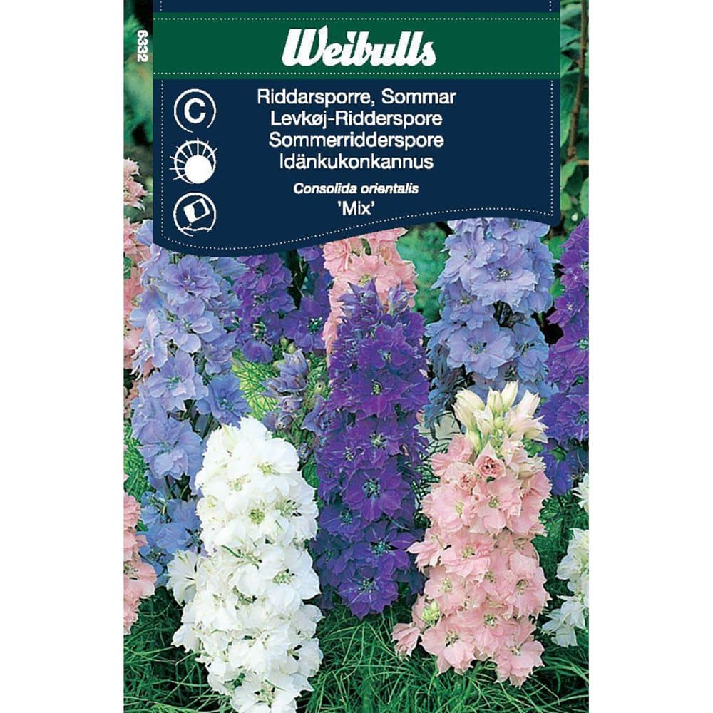 Weibulls Riddarsporre, sommar mix