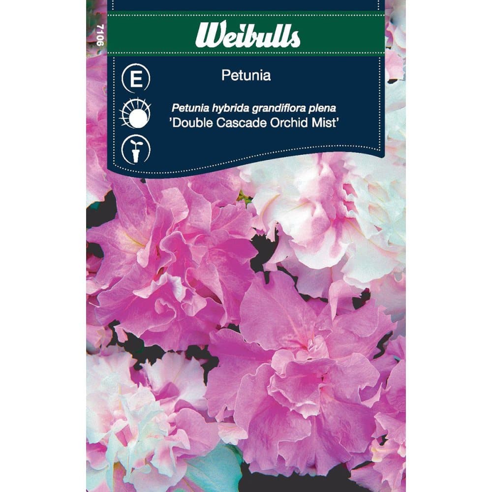 Weibulls Petunia Double cascade