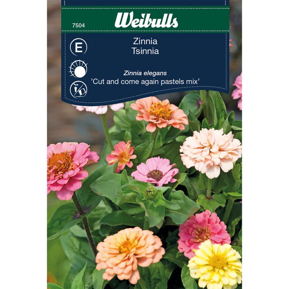 Weibulls Zinnia elegans Cut& Cut and come again