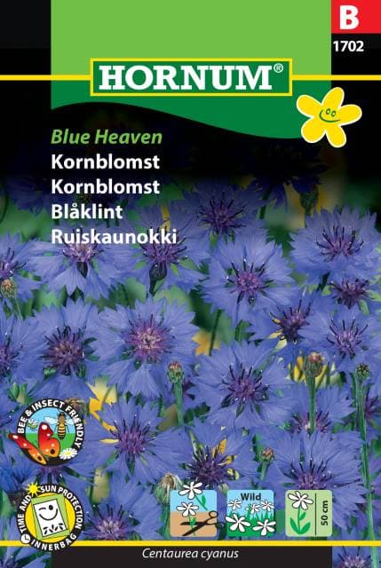 Blåklint 'Blue Heaven' frö
