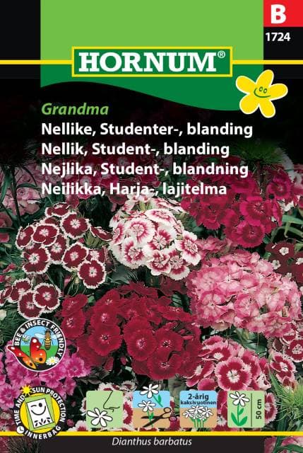 Borstnejlika Mix 'Grandma' frö
