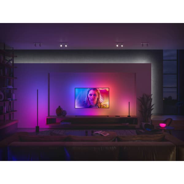 Philips Hue WCA Play Gradient Light Tube LRG Sort