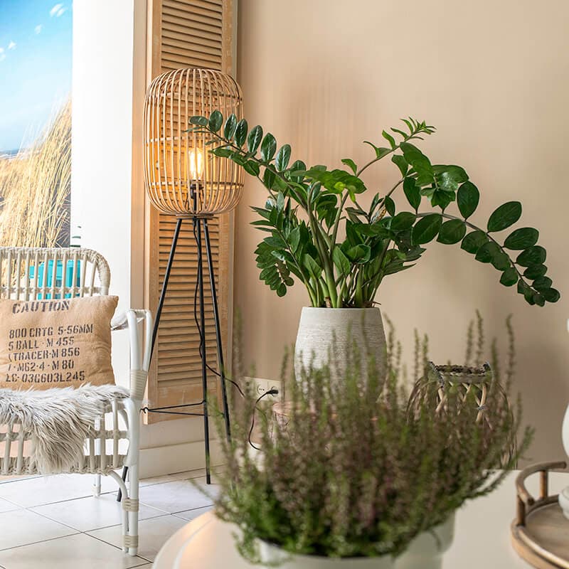 Landsbygdens golvlampa rotting - Manila