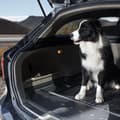 Miniatyrbillede 7 af 9: Stövelsematta passar för Ford S-Max I 2006-2014 7 passagerer, 3. sæderække foldet ud, Uden højdejusterbar bagagerumsbund