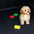 Miniatyrbillede 7 af 9: Sæt med gummigulvmåtter og bagagerumsmåtter til Renault Megane III 2008-2016 Stationcar, Uden højdejusterbar bagagerumsbund